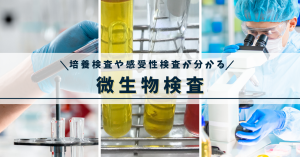 微生物検査とは？培養検査や感受性検査を看護師向けに解説