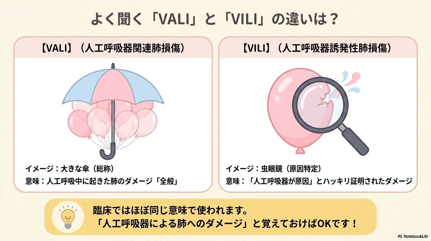 VALIとVILIの違い