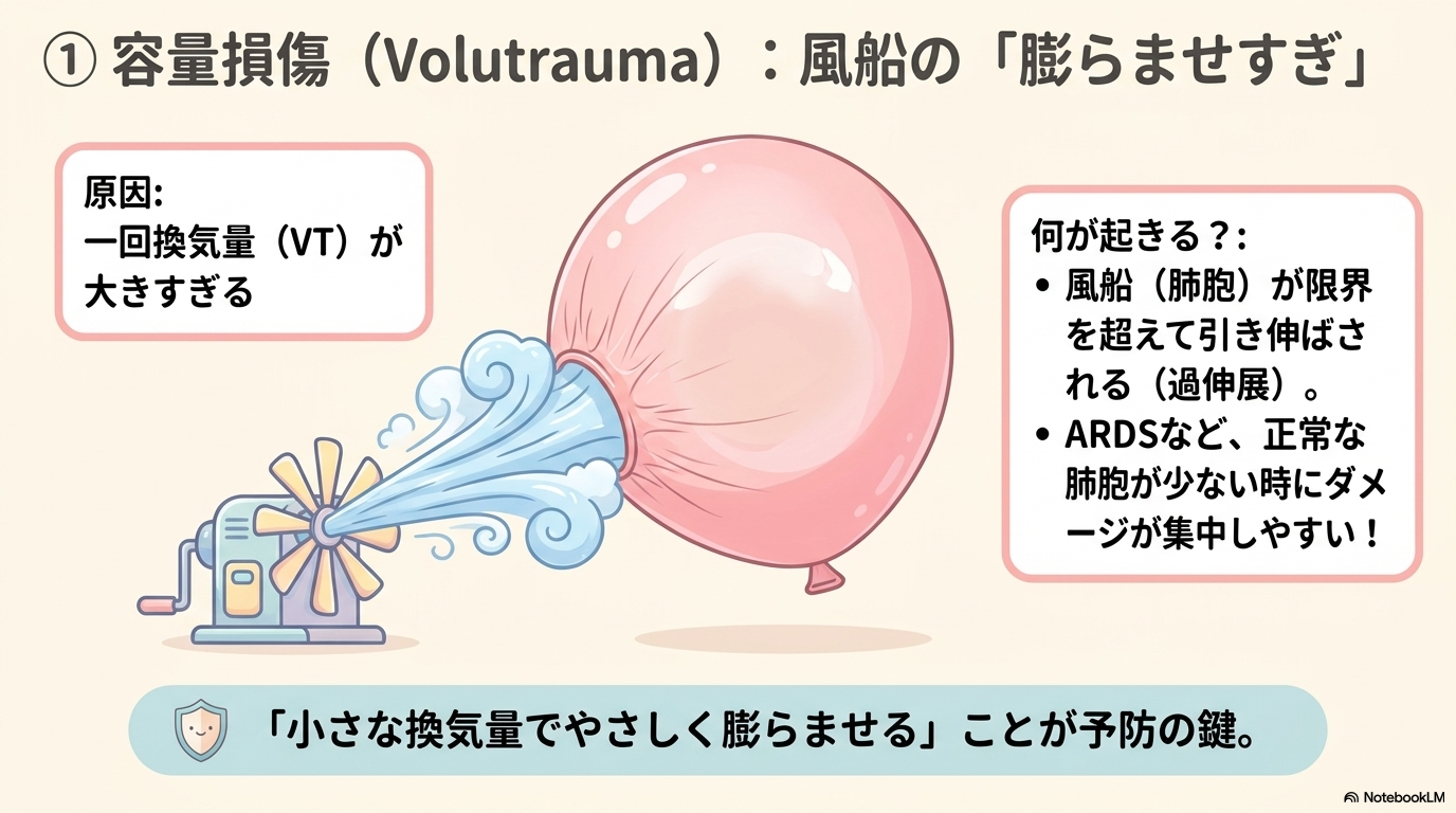 容量損傷(Volutrauma)
